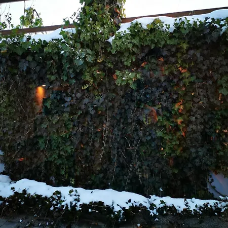 Appartement Obermoser *